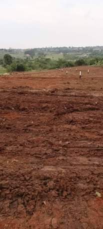 A picture of 50ft X 50ft Residential Plots available on Sale in a