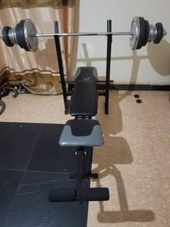 gym equipment