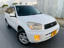 A picture of Rav4 kill time
