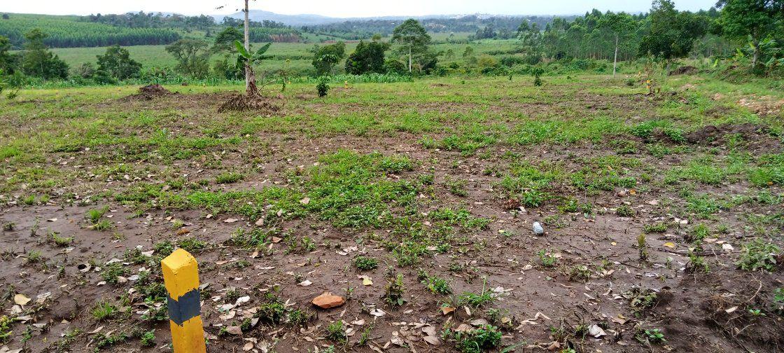 A picture of Titled plot for sale at namayumba estate