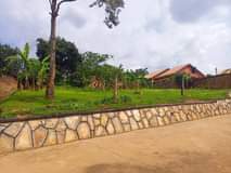 A picture of 50 decimals for sale in kyambongo near university