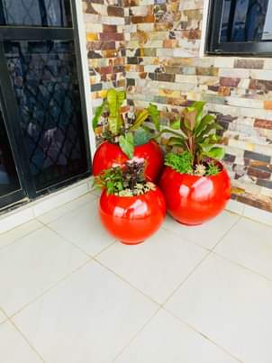 A picture of Rachels outdoor flower designs