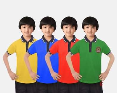 A picture of T shirt plain