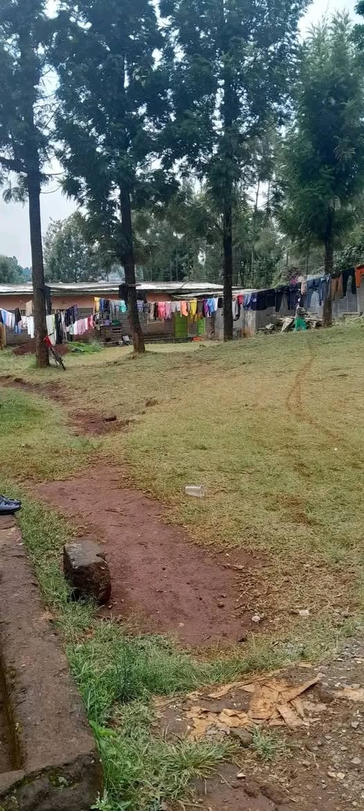Waithira G.