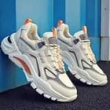 A picture of Sports sneakers