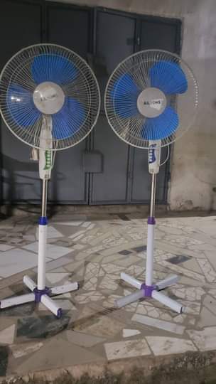 fans