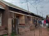 A picture of 12 RENTALS FOR SALE IN KINAWA KYENGERA 5 Units each