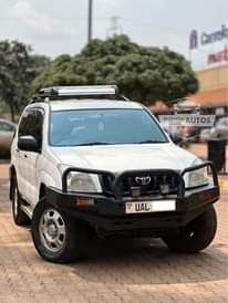 A picture of Best deals you can get in town Elevate your Standard