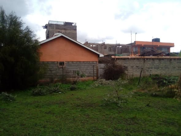houses ruiru