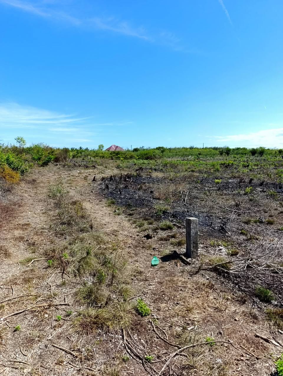 A picture of PAJE PLOT FOR SALE