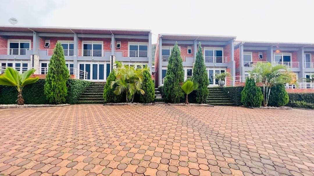 houses for rent