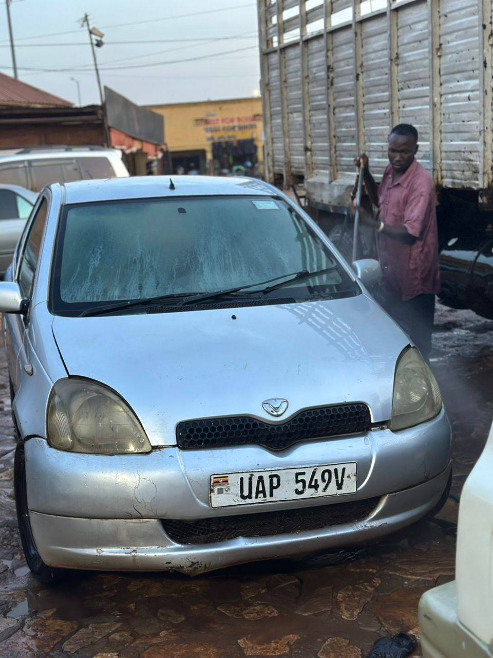 A picture of Vitz