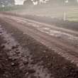 A picture of PLOTS ON SALE In Bujuuko Mityana road 2 5km from