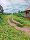 A picture of Plots on sale wakiso hoima road branch off from nkoowe
