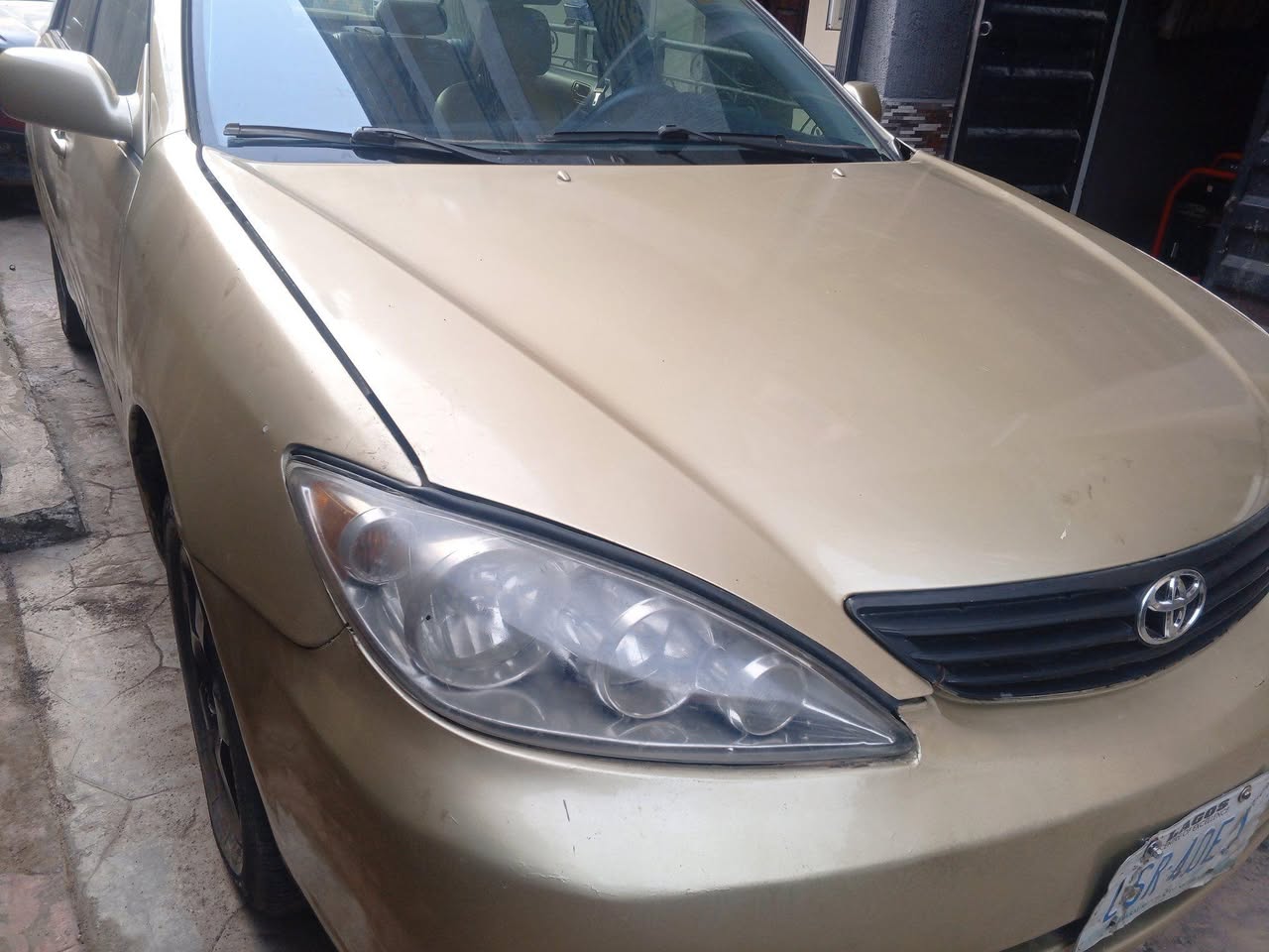 A picture of Camry big Daddy