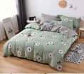 A picture of 6 6 Duvets