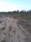 A picture of Shamba linauzwa kibaha mlandizi KILOMETER 2 toka morogoro road Zipo