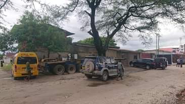 A picture of YADI SINZA LION INAUZWA