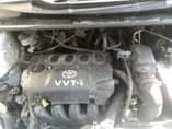 A picture of Vitz clavia