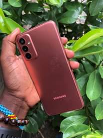 A picture of SAMSUNG F23