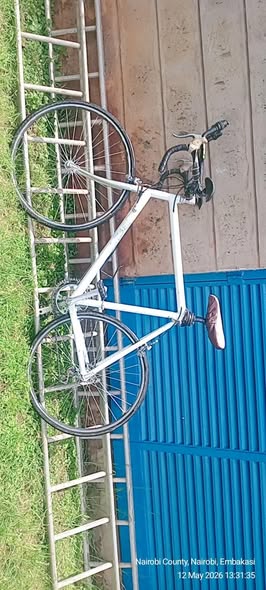 shimano