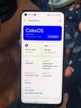 A picture of OPPO A95