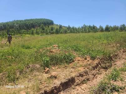 A picture of PLOTS OF LAND AT AFFORDABLE PRICES