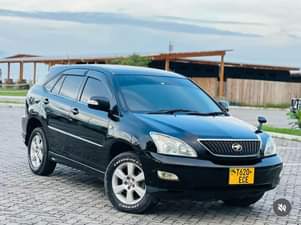 A picture of Harrier new model