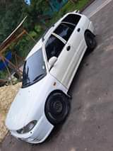 Shazad M.