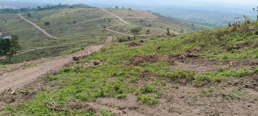 A picture of LOCATED AT KAKIRI NAMAYUMBA