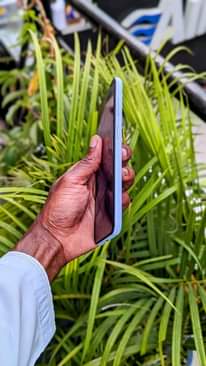 A picture of SAMSUNG GALAXY A13 MPYAA