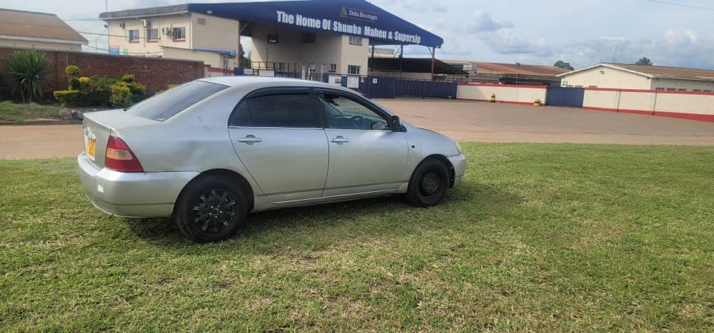 toyota corolla bubble