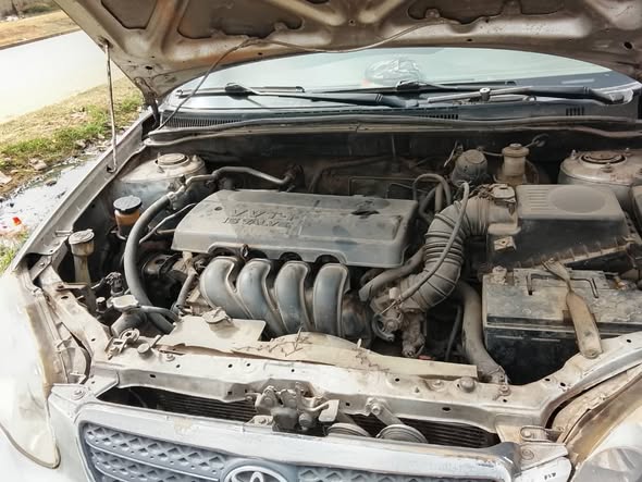 A picture of 2007 TOYOTA COROLLA xl