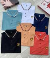 A picture of T shirt