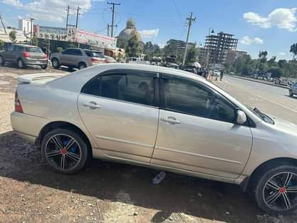 used toyota corolla
