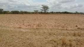 rooms to rent harare