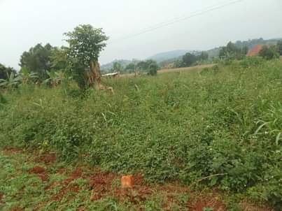 A picture of 100 by 100 ft that touches the tarmac of mukono
