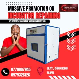incubator