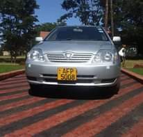 classifieds recent import