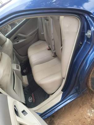 A picture of Camry spider