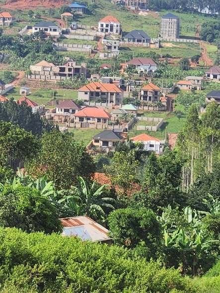 A picture of Namugongo Nabusugwe hill view estate for sale 70M each