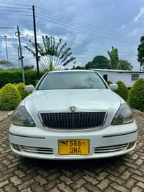 A picture of Brevis for sale call 0657633355