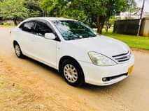 used toyota allion