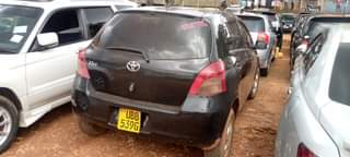 A picture of Vitz