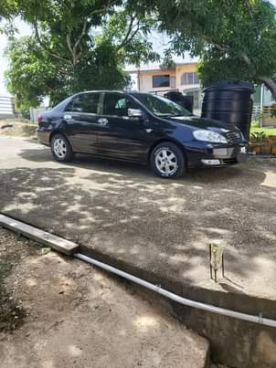 cars
