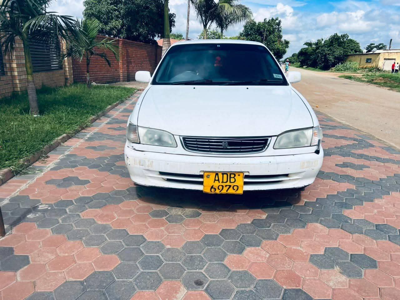 used toyota corolla