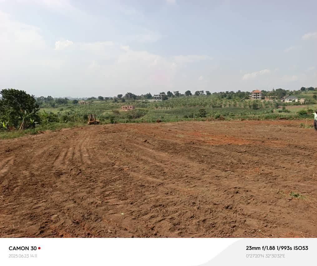 A picture of Land