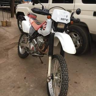A picture of Pipiki XR 250