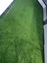 artificial turf
