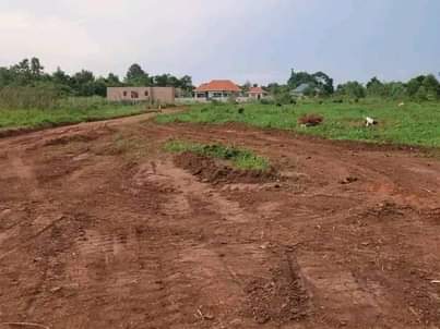 A picture of Nkowe wakiso_ Estate Each plot goes at 25m. With ready
